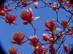 20070323 16.jpg